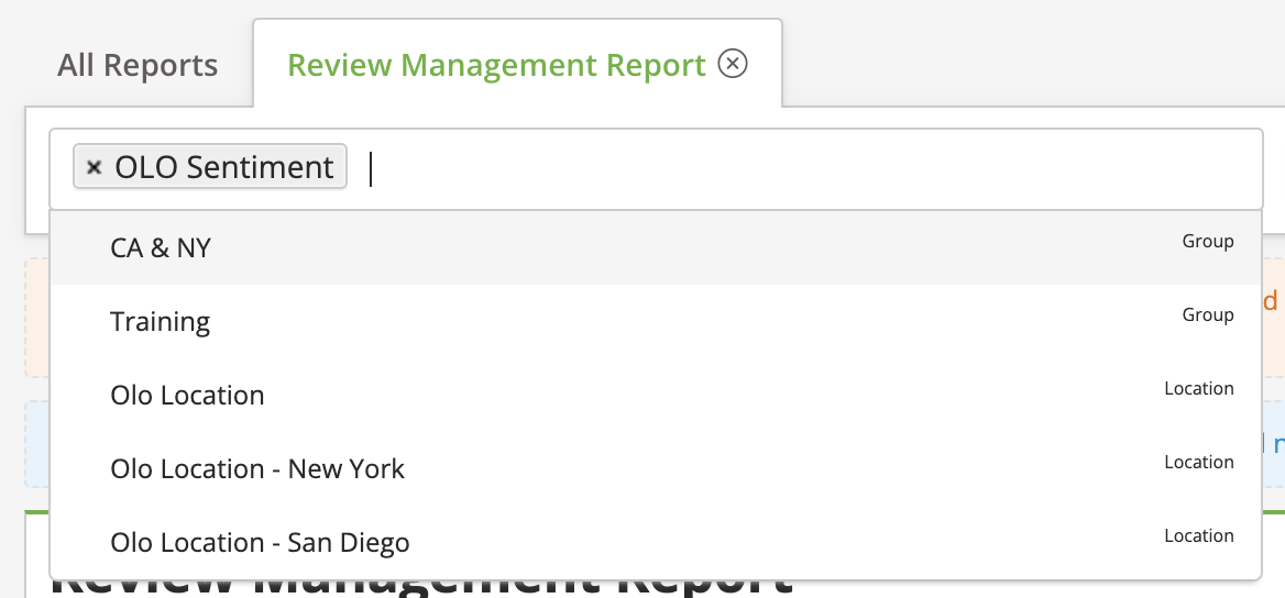 Reports - Reporting Suite - Reputation Performance Report - Filters Dropdown.png